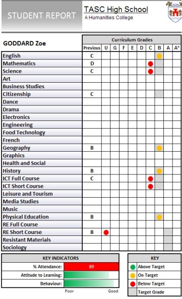 Grade report 2.jpg