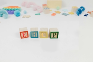 EHCP Blocks